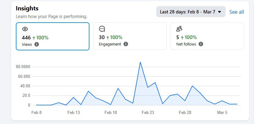 An IT Company Growth Results